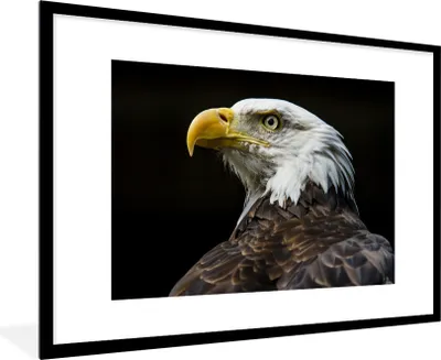 Produktbild von MuchoWow® Gerahmtes Poster Seitenansicht eines Weißkopfseeadlers 90x60 cm - Poster mit Schwarzem Bilderrahmen Wandposter Rahmen Foto Bilder - Wanddekoration - Fotos