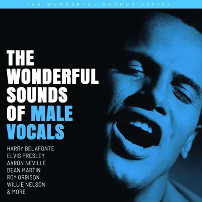 Produktbild von VARIOUS - The Wonderful Sounds Of Male Vocals (HSACD)