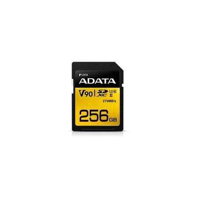 Produktbild von Premier One 256 GB SDXC (UHS-II U3, Class 10, V90)