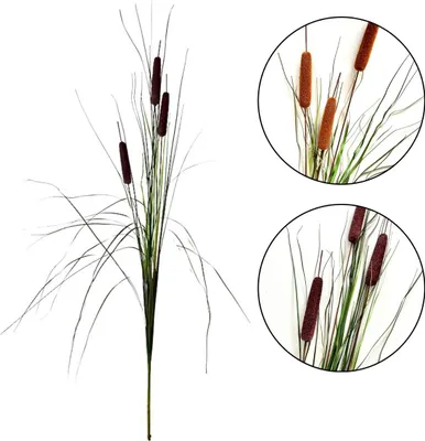 Produktbild von Gräserstrauß - Rohrkolbengras 125 cm, dunkelbraun