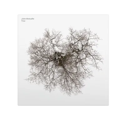Immagine prodotto di Albero