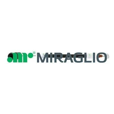 Produktbild von MIRAGLIO 80/720 Türgriff Vorne Rechts Vorne Links für BMW X5 (E53)