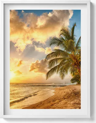 Produktbild von Palmenstrand und Meer bei Sonnenuntergang– Wandbild mit Rahmen – Gerahmtes Bild  – Wanddekoration – 60x80 cm –  Weiß Rahmen