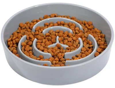 Imagen del producto de Cuenco cerámico antidesbordamiento para perros, ideal para razas grandes y medianas