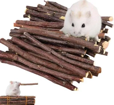 Produktbild von 12 Kauwstäbchen für Nagetiere, Apfelholzstäbchen, Chinchilla, Meerschweinchen, Hamster