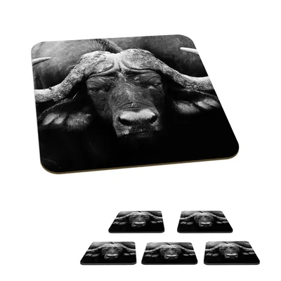 Produktbild von KitchenYeah® Glasuntersetzer Quadratisch 6er Set Tiere - Büffel - Schwarz - Weiß - Porträt 10x10 cm Untersetzer für Gläser - Getränkeuntersetzer - Tischplattenschutz - Tischuntersetzer für Tassen Tis
