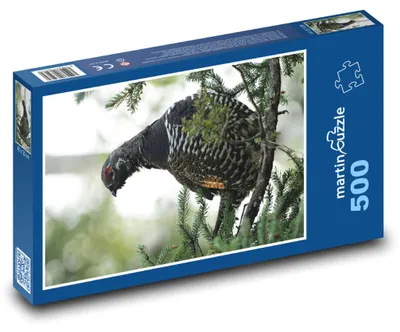 Produktbild von Puzzle 500 Auerhahn in natürlicher Umgebung - martinpuzzle