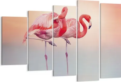 Produktbild von Bild auf Leinwand - Leinwandbild - 5 Teile - Flamingos Exotik Vögel - 150x100cm - Wand Bild - Wanddeko - Wandbilder - Leinwanddruck - Bilder - Wanddekoration - Leinwand bilder - EG150x100-5044