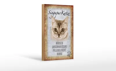 Produktbild von Holzschild Spruch 12x18cm Singapur Katze Schild