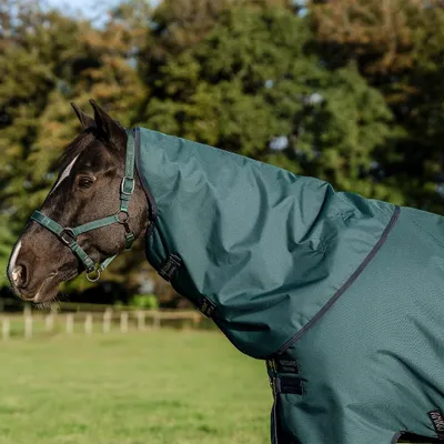 Immagine prodotto di Horseware Amigo Ripstop 900D, coperta antipioggia e antivento, 150g - Taglia S - Con colletto - Colore: Verde/Blu scuro e Argento
