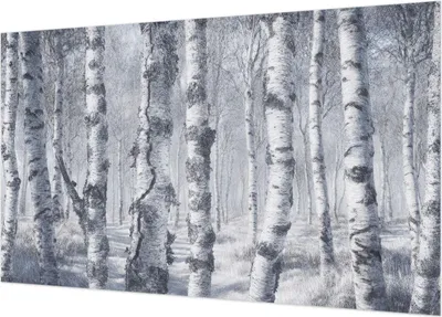 Produktbild von Fototapete - Wandbilder für Wohnzimmer - 416x254 - Dekorative Wandfolie - Modernes Design für Wanddekoration - Tapeten für Innenräume - Frostige Natur
