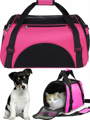 Produktbild von Tragetasche für Kleine Hunde und Katzen mit Netzfenster