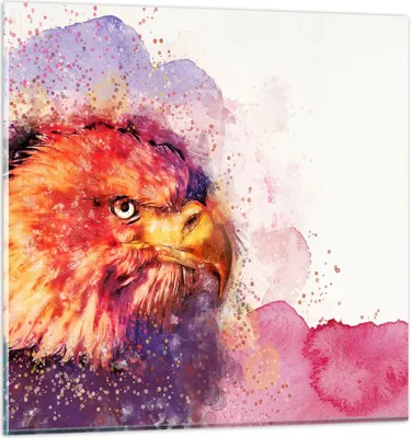 Produktbild von Bilder auf glas - Adler Vogel Feder - 50x50cm - Glasbilder - Wandbilder - Kunstdruck - zum Aufhängen bereit - Wanddekoration aus Glas - Glas Bilder - Wandbild auf Glas - Einteilig - GAC50x50-4054