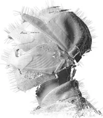 Produktbild von Woodkid-The Golden Age