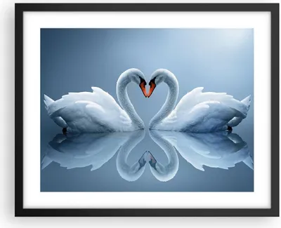 Produktbild von Gerahmtes Poster - Schwarzer Rahmen - Ladung Dampf Wasser - 50x40 cm - Wand Bild - Wanddeko - Wandbilder - Kunstposter - Wandposter - Bilderrahmen - Bilder - Kunstdruck - Wandbild - P2BAA50x40-3541