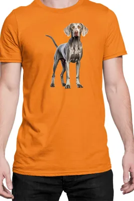 Immagine prodotto di Maglietta da uomo Dogs Breeds Weimaraner Dog Breed 005, Man 2XL , Orange