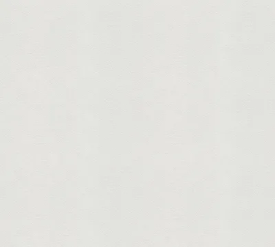 Obrázek produktu pro A.S. Création netkaná tapeta Meistervlies Pro Protect 2, bílá, malovatelná, 25,00 m x 1,06 m, 573414, 5734-14