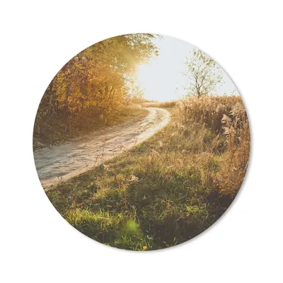 Produktbild von MuchoWow® Mauspad Mousepad Weg - Natur - Baum 20x20 cm - Mousepads - Maus Mat - Pad - Mausunterlage - Schreibtischmatte