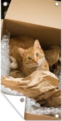 Produktbild von MuchoWow® 30x60 cm Outdoor-Poster Gartendeko Sichtschutz Garten Poster für den Garten  Katze - Box - Rot