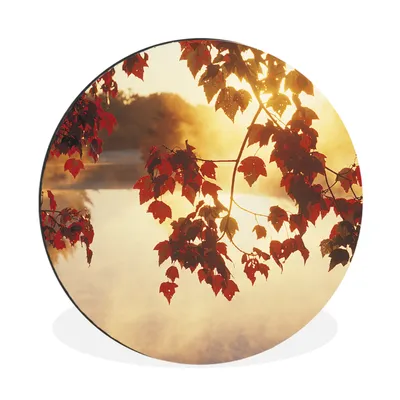 Produktbild von MuchoWow® Aluminium Wandkreis Baum - Rot - Herbst Ø 60 cm Wanddeko Modern Wohnzimmer - Wand Kreis - Wandbild - Schlafzimmer - Aluminium Bild - Kinderzimmer - Wohnzimmer Dekoration - Wandschmuck