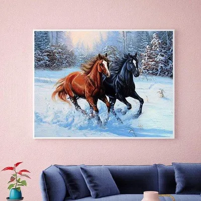 Produktbild von Diamant Malerei Pferd Set 40x50cm für Erwachsene und Kinder