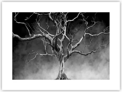 Produktbild von Poster - Poster ohne Rahmen - Schwarzweiß Äste Rauch - 40x30 cm - Wand Bild - Wanddeko - Wandbilder - Kunstposter - Wandposter - Bilder - Kunstdruck - Wanddekoration - Wandbild - P2XAA40x30-4346