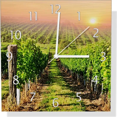 Produktbild von Wallario Design Wanduhr Weinberg mit untergehender Sonne aus Aluverbund, Größe 30 x 30 cm