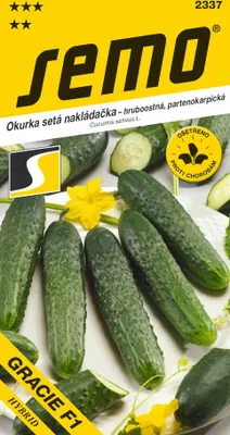 Obrázok produktu pre UHORKY nakladačky hrubobradavičnaté Gracie F1