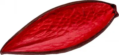 Produktbild von Canoinha rot