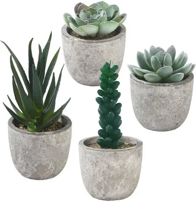 Image de Petites plantes artificielles décoratives, lot de 4, vertes, avec des pots gris