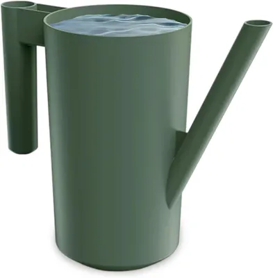 Imagen del producto de Regadera de plástico, 2,0 litros, color verde, para uso en el hogar y el jardín
