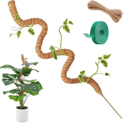 Immagine prodotto di Portavasi flessibile da interno, 120 cm, verde