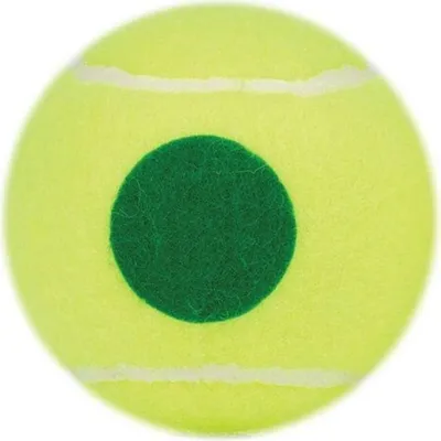 Obrázok produktu pre Prince Lopty Stage 1 Play And Stay, 7G334000