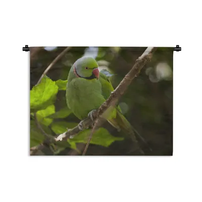 Produktbild von Wandteppich Wandbehang Halsbandsittich auf einem Ast 120x90 cm Tapisserie Dekoration Wandtuch