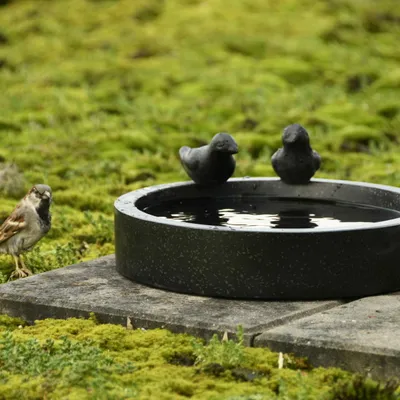 Produktbild von Zauberhaftes Vogelbad, Vogeltränke aus TERRAZZO rund, scwarz