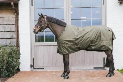 Produktbild von Kentucky Horsewear Turnout Rug all weather waterproof pro Weidedecke 0g, Größe:160, Farbe:navy