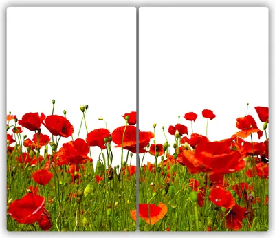 Produktbild von Tulup Glas-Herdabdeckplatte - 2x30x52cm - Glaskeramikkochfeld-Abdeckung Spritzschutz Zweiteilig Feldmohnblumen