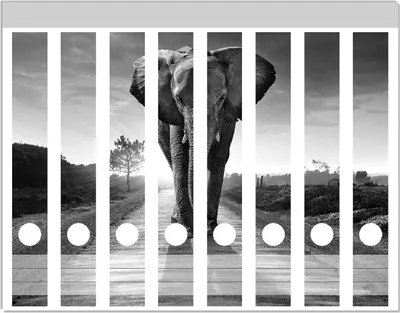 Produktbild von Wallario Ordnerrücken Sticker, selbstklebend für schmale Ordner, 8 Stück, Motiv Elefant bei Sonnenaufgang in Afrika schwarzweiß