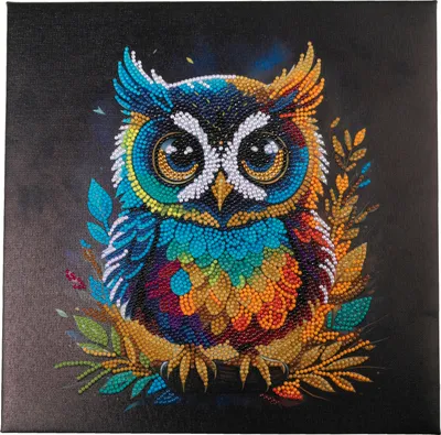 Produktbild von Craft Buddy Diamond Malování Crystal Art Kit 30x30cm Sova