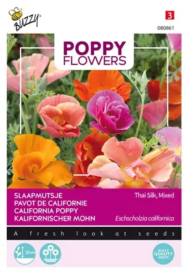 Produktbild von Buzzy Poppy Flowers Kalifornischer Mohn Thai Silk Samen - Ca. 0,1 gr | Buzzy_080861