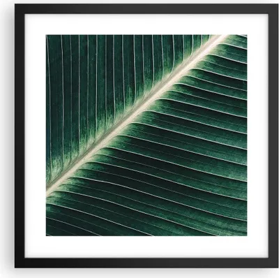 Produktbild von Gerahmtes Poster - Schwarzer Rahmen - Grün Blatt Tropisch - 40x40 cm - Wand Bild - Wanddeko - Wandbilder - Kunstposter - Wandposter - Bilderrahmen - Bilder - Kunstdruck - Wandbild - P2BAC40x40-4126