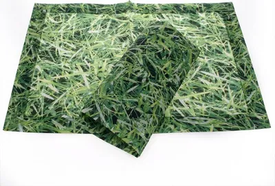 Produktbild von Platzset "Gras" - 2 Stück - 42 x 30 cm - 1877