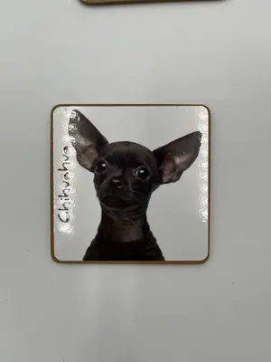 Hunde-Untersetzer aus Kork, Chihuahua, 9,5 x 9,5 cm