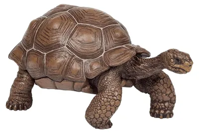Produktbild von Schildkrötenstatue für den Garten | Außendekoration mit realistischer Galapagos-Schildkröte