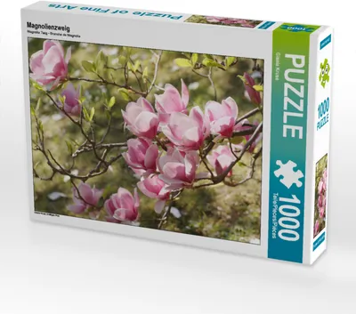 Produktbild von CALVENDO Puzzle Magnolienzweig | 1000 Teile Lege-Größe 64x48cm Foto-Puzzle für glückliche Stunden
