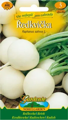 Immagine prodotto di Ravanello SNIEZKA, bianco rotondo