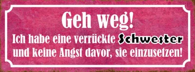 Produktbild von vianmo Holzschild 10x27 cm ich habe eine verrückte Schwester Spruch Zitat