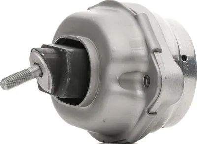 Produktbild von RIDEX Motorlager Hydrolager für BMW X5 (E53) 247E0401