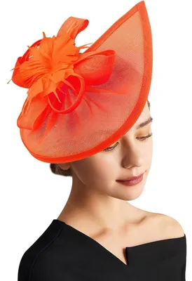 Produktbild von Fascinator Hut Damen Pillbox mit Schleier und Clip Orange Polyester Federn Einheitsgröße