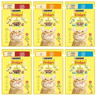 Produktbild von Purina Friskies Nassfutter für Katzen in Soße 6x85g mit Lachs Rind und Huhn